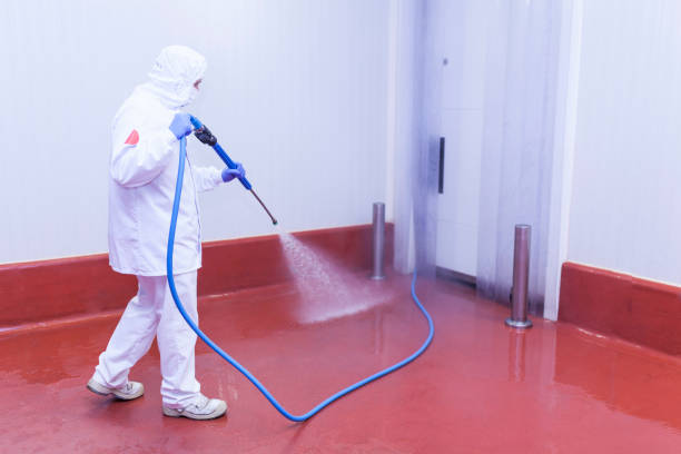 Best Soft Washing  in Stanfield, OR